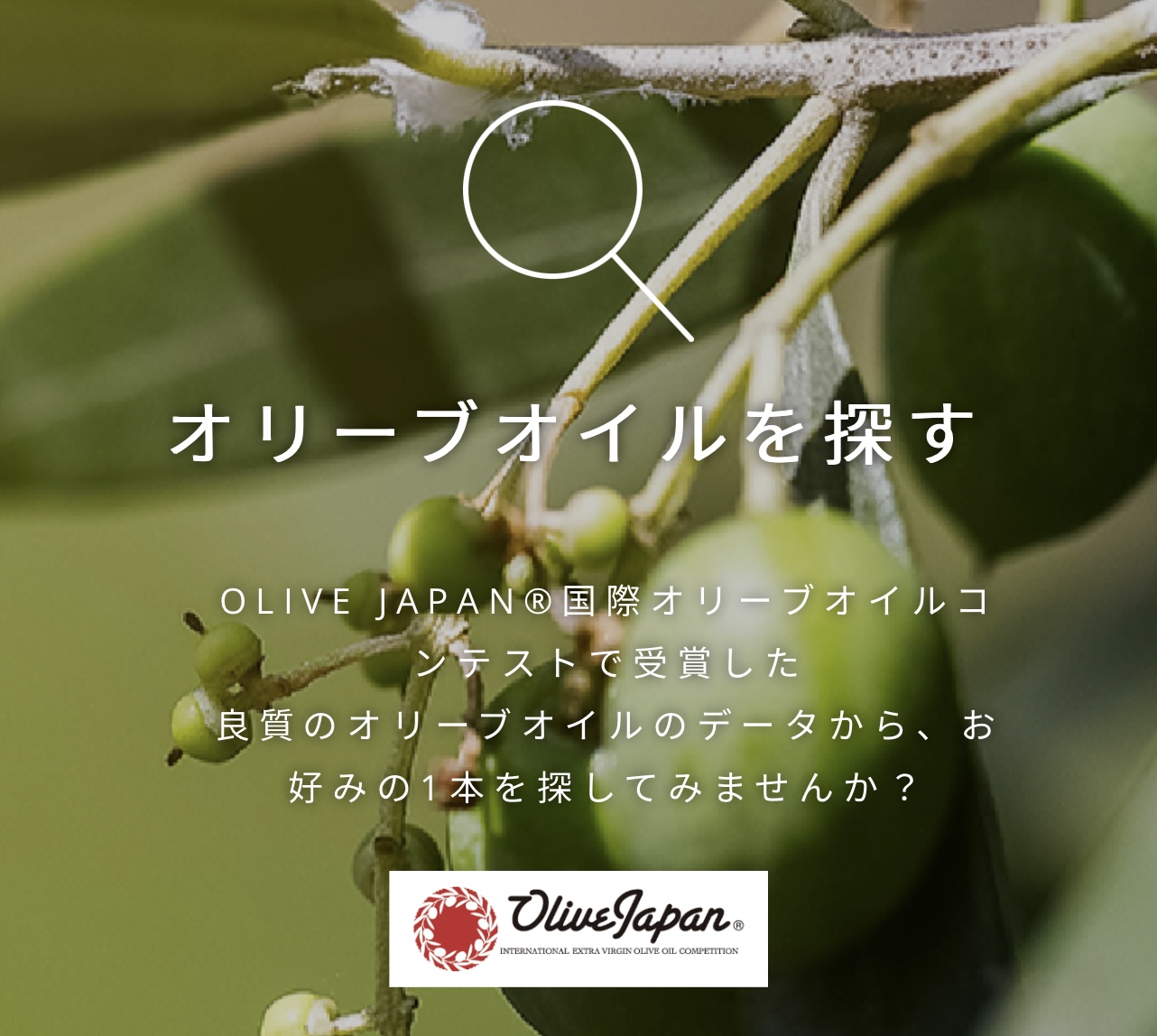 eオリーブオイル選び」にOLIVE JAPAN® 2025 受賞商品が掲載されました